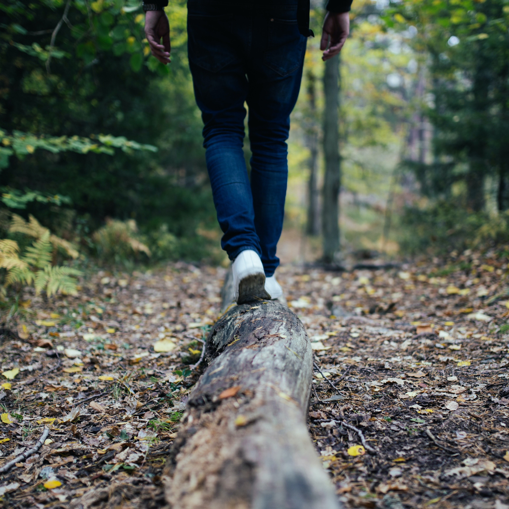 Person Trail Walking on Nature